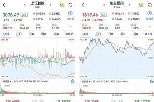 开云全站app下载官网手机版